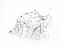 Demon Snail